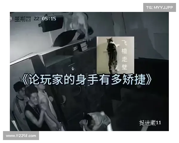 新手必看超实用密室逃脱十大神级技巧助你轻松破解所有谜题