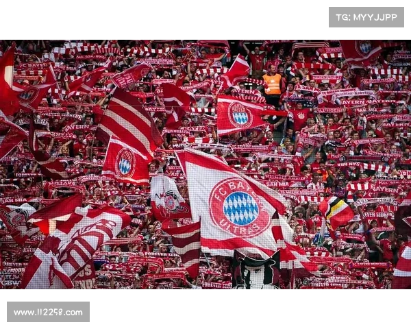 全景式深度探究拜仁主场安联球场名称起源与历史演变发展脉络分析